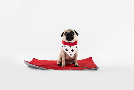 Dogsnug Designer &#039;Sterren&#039; koel Bandana