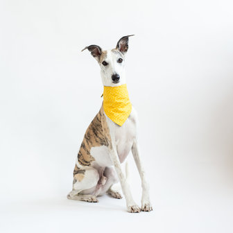 Dogsnug Designer &#039;Geo&#039; Koel Bandana 