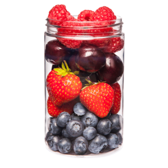 Terra Canis Rood Fruit Supplement 