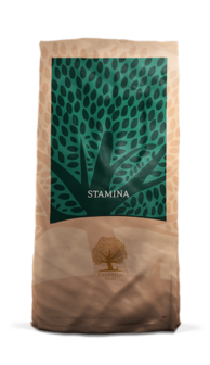 Essential Foods - Stamina - 12,5kg