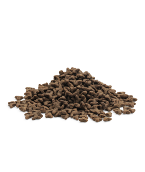 Essential foods - Kattenbrok - Little Lion - 1,5kg 