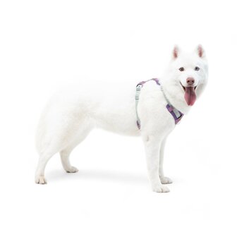 Woolly Wolf - Alpha 360 - Tuig/ Harnas - Mauve Mix 