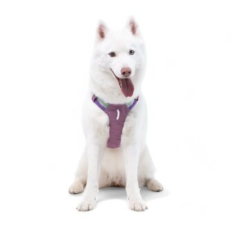 Woolly Wolf - Alpha 360 - Tuig/ Harnas - Mauve Mix 