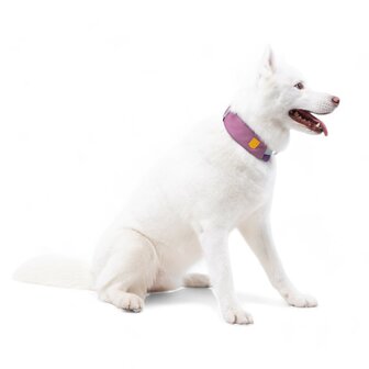 Woolly Wolf - Alpha 360 Brede Halsband - Mauve mix