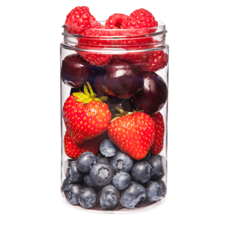 Terra Canis Rood Fruit Supplement 