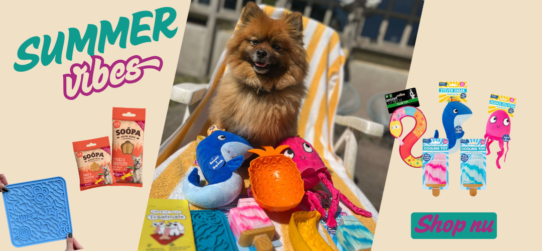 Summer Vibes Summer-Vibes