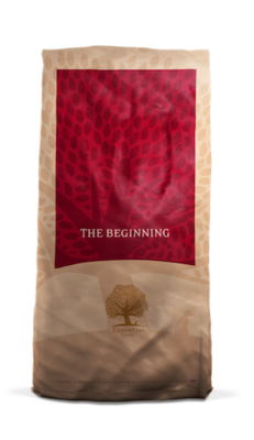 Essential Foods - Brok - The Beginning - 10kg