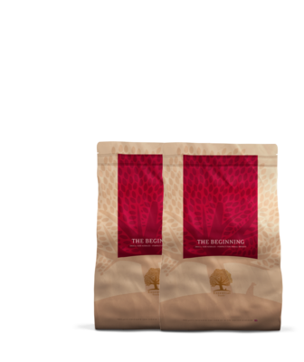 Essential Foods - Brok - The Beginning - 2,5kg