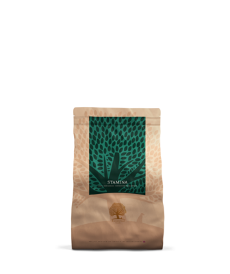 Essential Foods - Brok - Stamina - 2,5KG