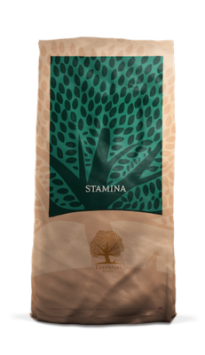 Essential Foods - Stamina - 10 kg