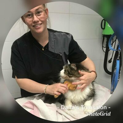 Kennis Webinar -  Voeding Huid & Vacht - Dana Guijken