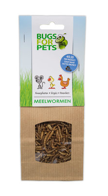 BugsforPets Meelwormen